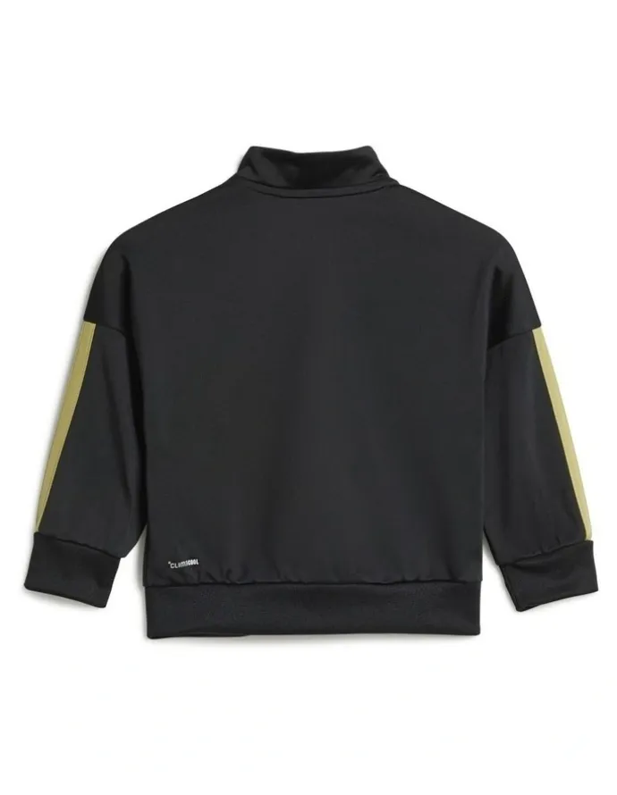 adidas Essentials Climacool Track Suit in Black