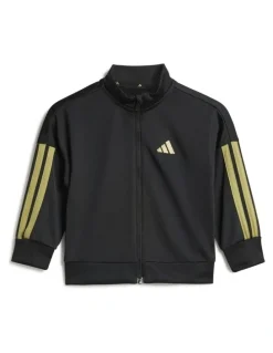 adidas Essentials Climacool Track Suit in Black