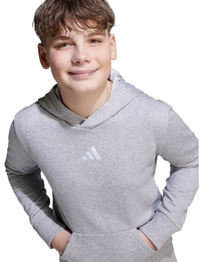 adidas Essentials Hoodie in Grey