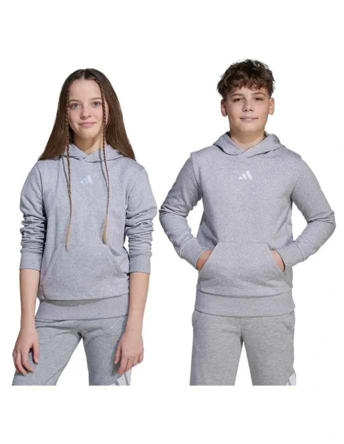 adidas Essentials Hoodie in Grey