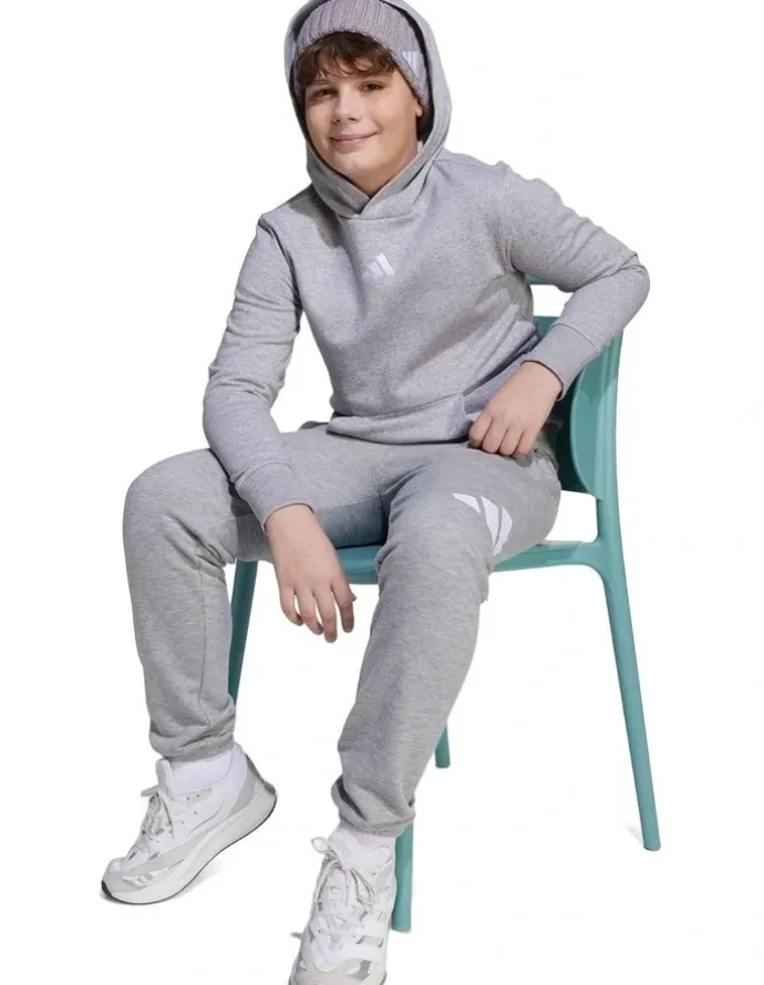 adidas Essentials Hoodie in Grey