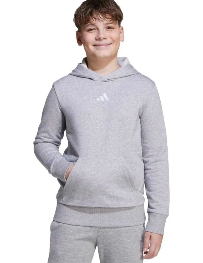 adidas Essentials Hoodie in Grey