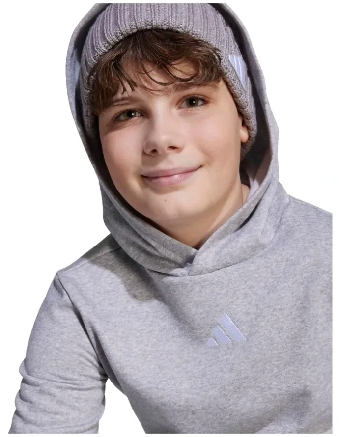 adidas Essentials Hoodie in Grey