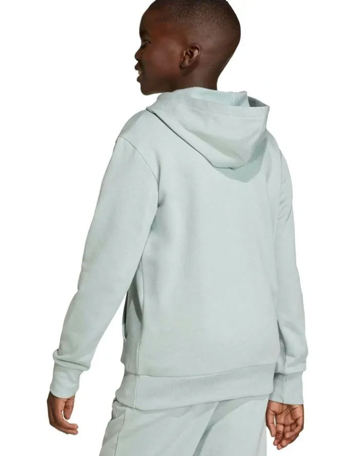adidas Essentials Hoodie in Wonder Sage/White