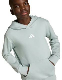 adidas Essentials Hoodie in Wonder Sage/White
