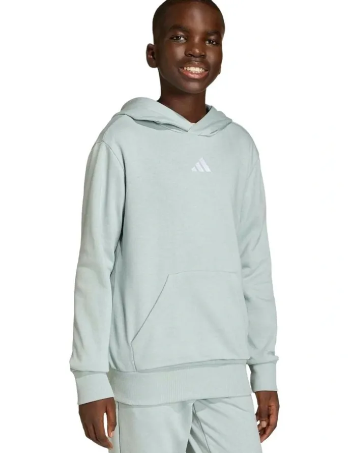 adidas Essentials Hoodie in Wonder Sage/White