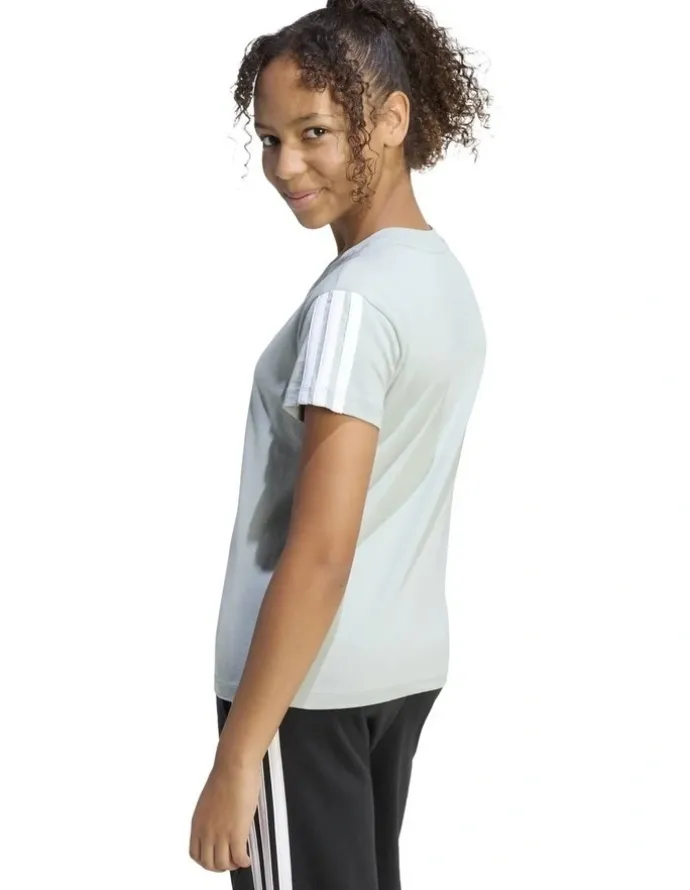 adidas Essentials T-shirt in Wonder Sage/White