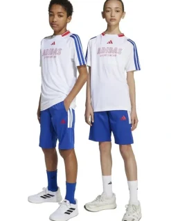 adidas House of Tiro shorts in Blue