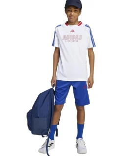 adidas House of Tiro shorts in Blue