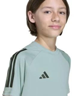 adidas Sereno T-shirt in Wonder Sage/Black