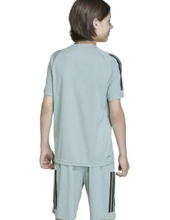 adidas Sereno T-shirt in Wonder Sage/Black