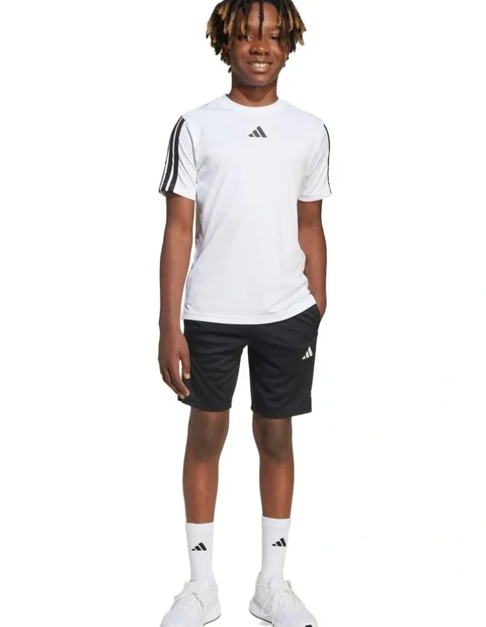 adidas Train Essentials 3-Stripes Shorts in Multi