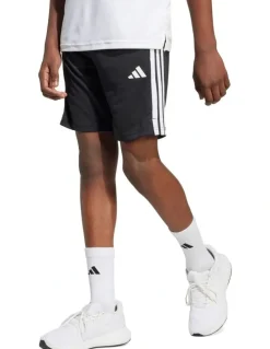 adidas Train Essentials 3-Stripes Shorts in Multi