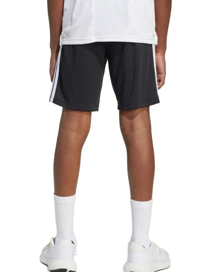 adidas Train Essentials 3-Stripes Shorts in Multi
