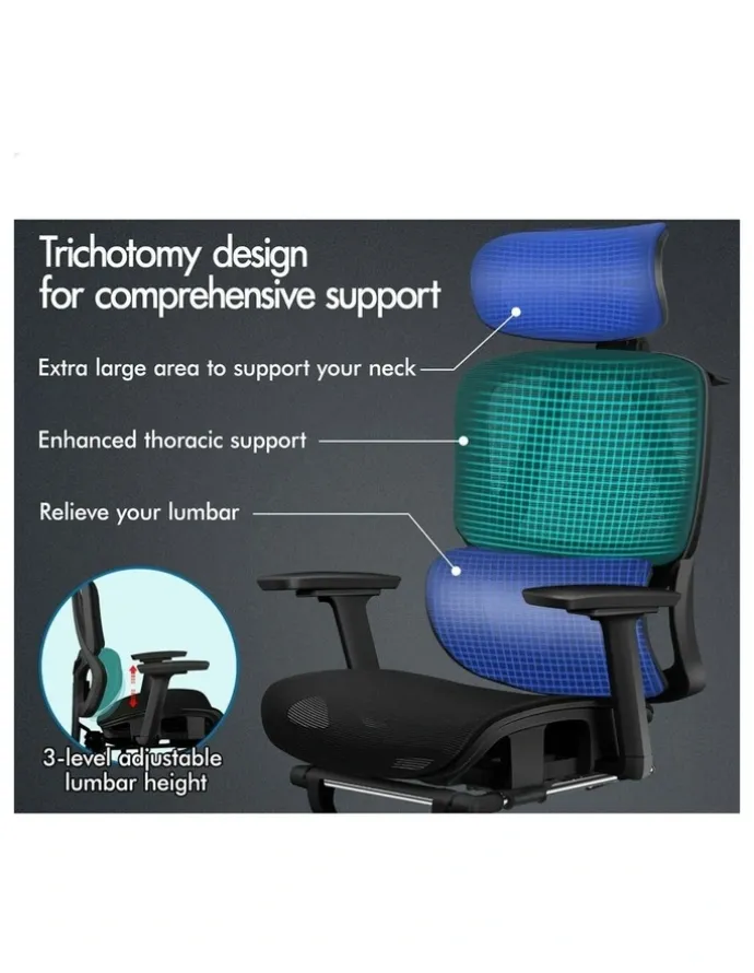 Alfordson Ergonomic Office Chair in Black