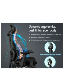 Alfordson Ergonomic Office Chair in Black