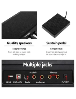Alpha 88 Keys Electronic Keyboard with Sustain pedal