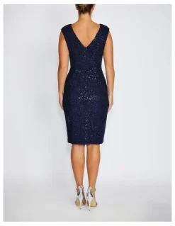 Anthea Crawford Elizabeth Stretch Corded Lace Dress