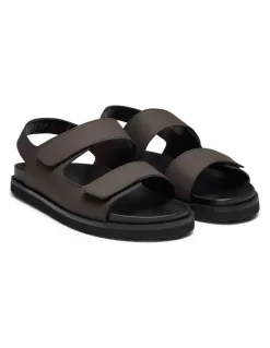 Aquila Bodie Sandals in Brown