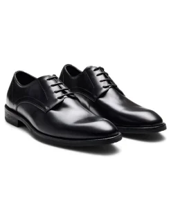 Aquila Daltrey Derby Shoes in Black