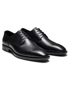 Aquila Magnus Derby Shoes in Black