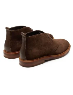 Aquila Ollie Suede Chukka Boots in Chocolate