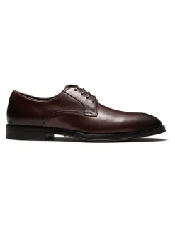 Aquila Salisbury Derby Shoes in Brown