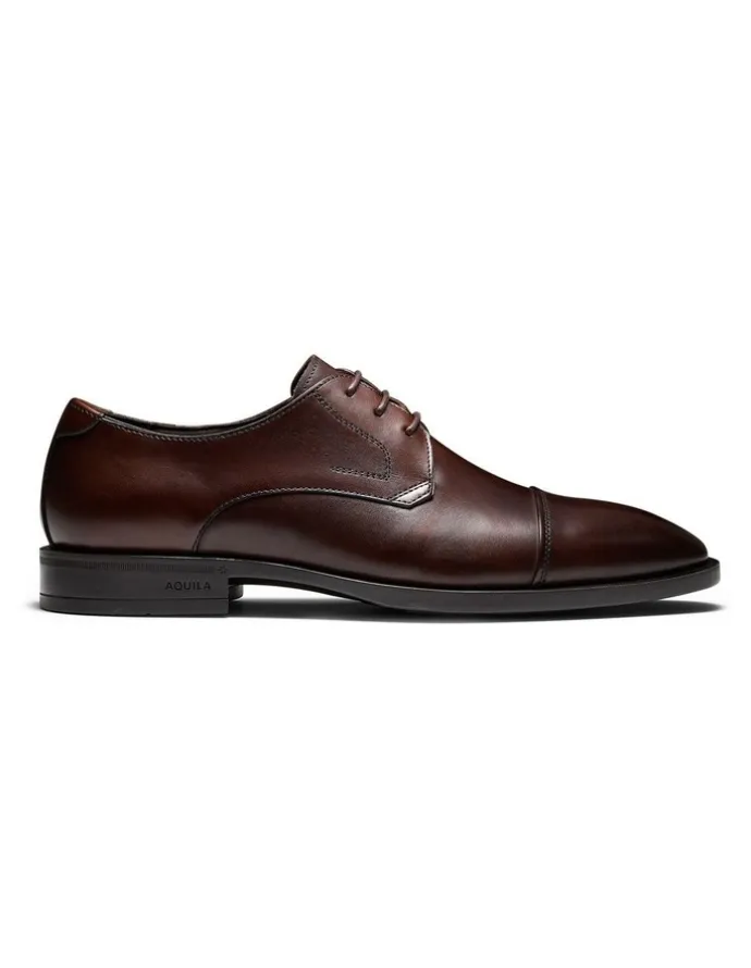 Aquila Stuart Derby Shoes in Brown
