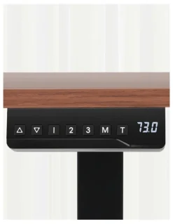 Artiss Motorised Dual Motor Electric Standing Desk 140cm in Walnut