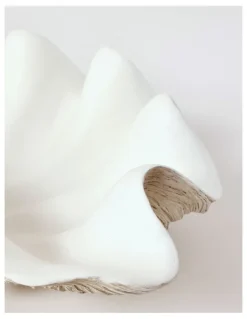 Australian House & Garden Atolle Shell 40cm in White