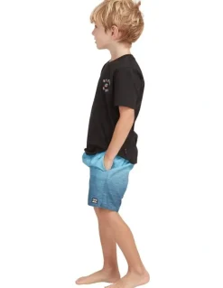 Billabong Sergio Layback Boardshorts in Light Navy