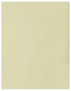 Bonds Baby Wondergrow Zippy in Green