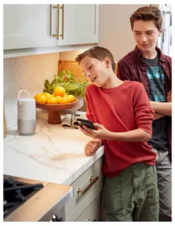 BOSE® Portable Smart Speaker Charging Cradle in Luxe Silver