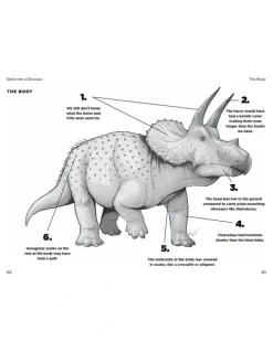 Boxed Editions So You Think You Know About Dinosaurs?