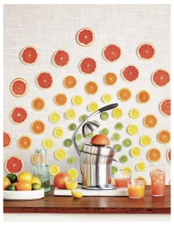 Breville The Citrus Press Pro Stainless Steel Juicer 800CPBSS