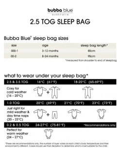 Bubba Blue Sundae 2.5 TOG Sleeping Bag (3-12M) in Berry