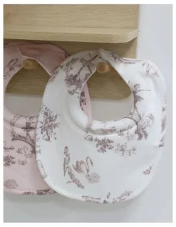 Bubba Blue Swan Lake Dribble Bibs 2 Pack in Multi