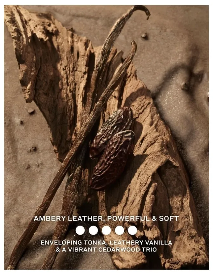Burberry Hero Elixir 60ml