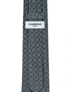Cambridge Astrolabe Silk Tie In Teal