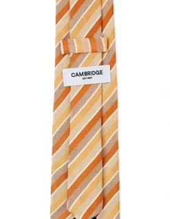Cambridge Grosgrain Stripe Silk Tie In Yellow