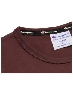 Champion Puff Script Tee in Brown