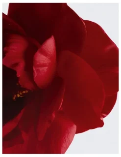 CHANEL N°1 DE CHANEL L'EAU ROUGE Revitalising Fragrance Mist
