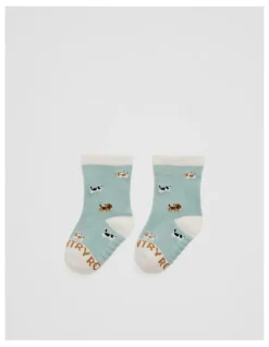 Country Road Dog Sock in Spearmint