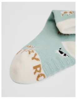 Country Road Dog Sock in Spearmint