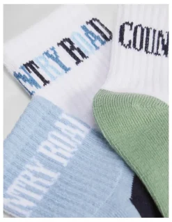 Country Road Heritage Quarter Sock Pack Of 3 in Blue Multi