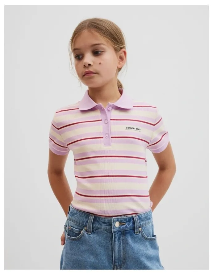 Country Road Short Sleeve Stripe Polo Top in Wisteria Stripe