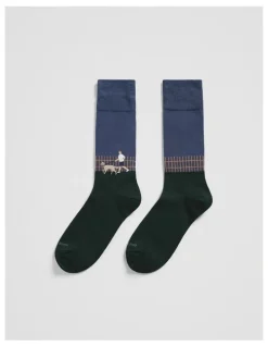 Country Road Walking Dog Sock Pack Of 2 in Mid Blue