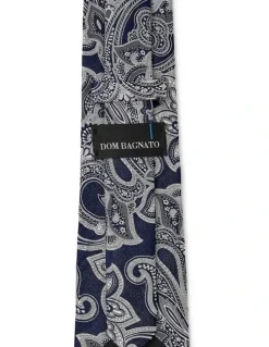 Dom Bagnato Paisley Grande Silk Tie In Pewter
