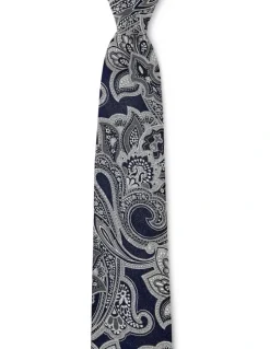 Dom Bagnato Paisley Grande Silk Tie In Pewter