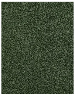 Dreamaker Otis Teddy Fleece Double-Sided Throw 130x160cm in Moss Green